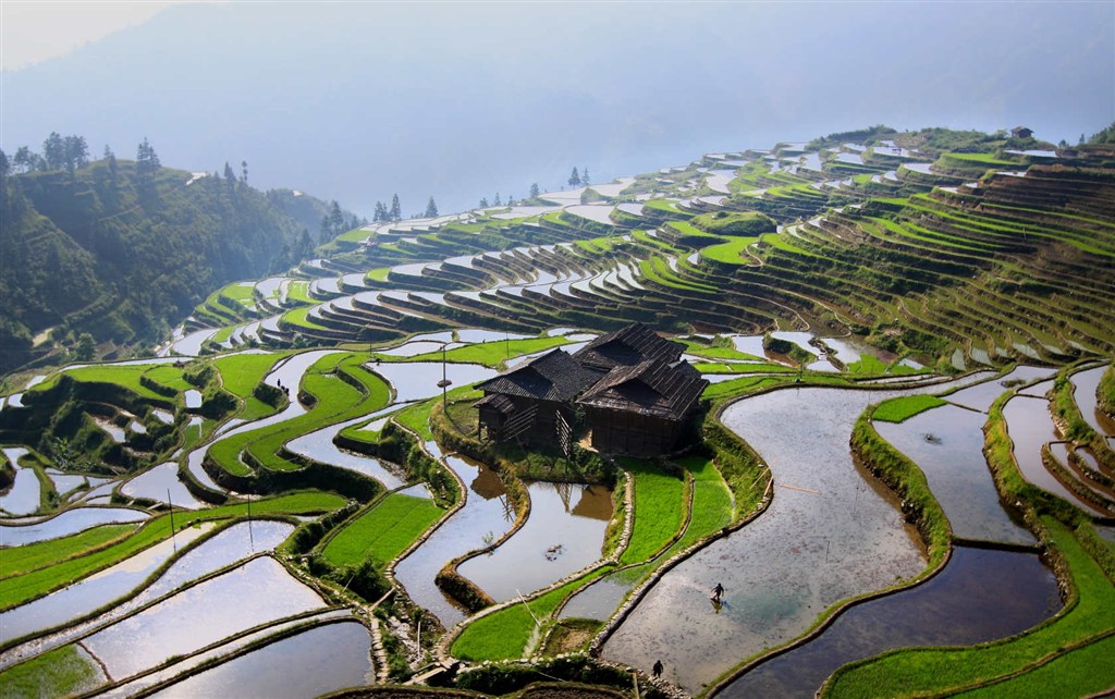 为什么现在越来越多的人不想谈恋爱了,太累了