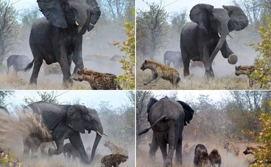 「弱者，就该受欺负」的理论你认同吗吗？