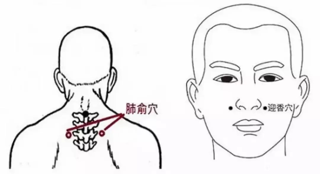 最舒服的养肺法:按摩穴位