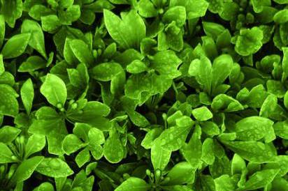 未来七天这三大生肖会大把抓财富,财富花不完