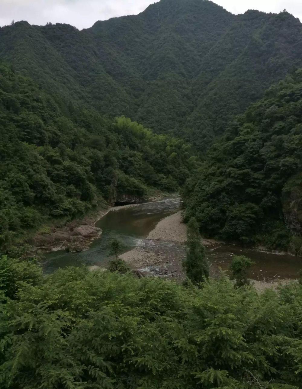 爽钓野生小石斑鱼, 50元一斤啊