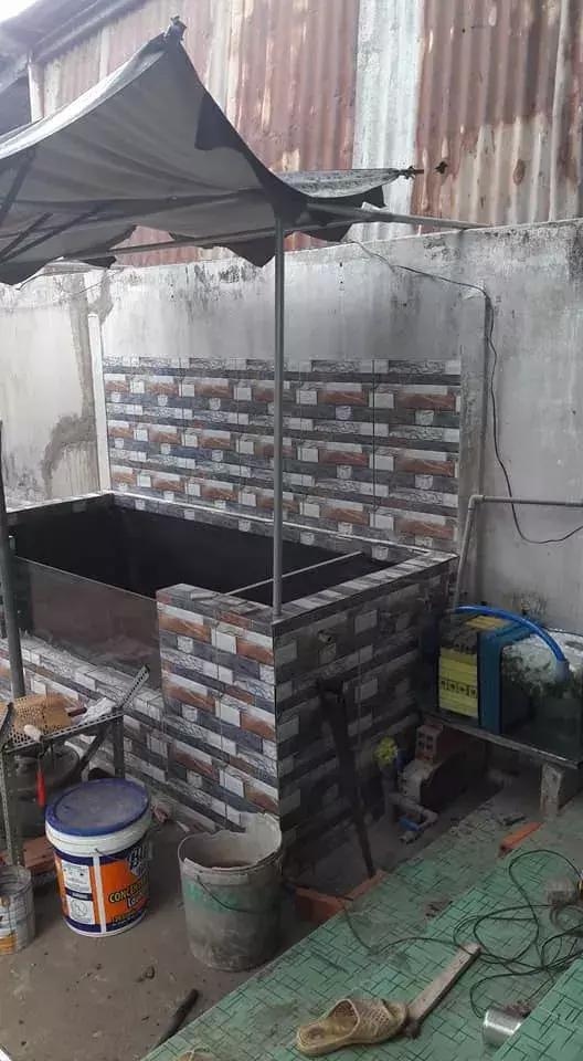 最简单庭院自制小鱼池:这些小池,或许你家也能