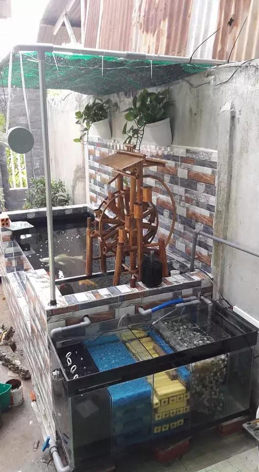 最简单庭院自制小鱼池:这些小池,或许你家也能