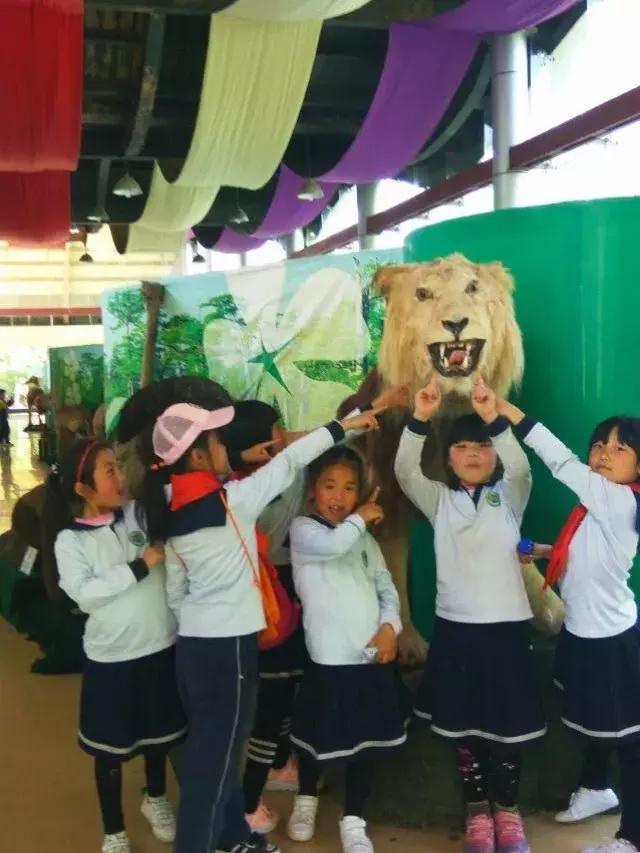 高新新徽学校走进野生动物园,探索神奇大自然
