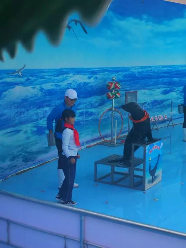 高新新徽学校走进野生动物园,探索神奇大自然