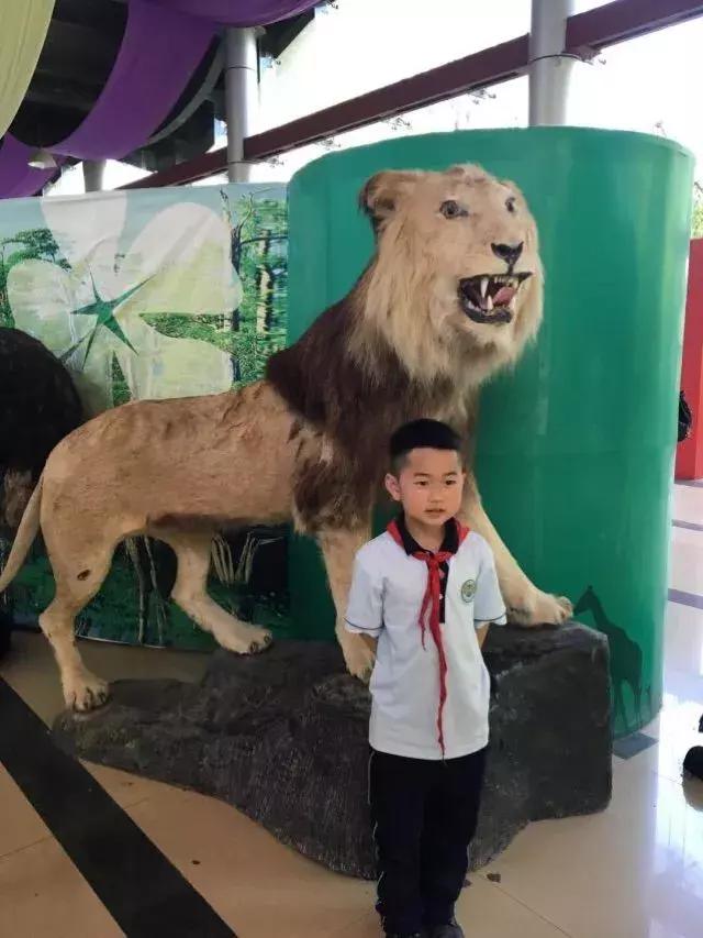 高新新徽学校走进野生动物园,探索神奇大自然