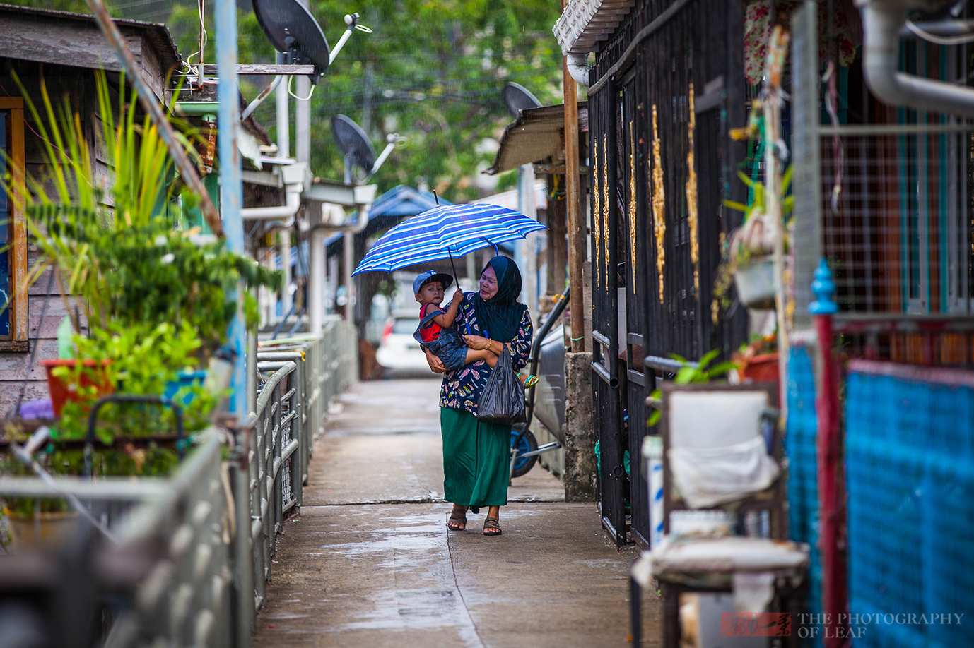 马来西亚这座城市人口40万,华人有30万,他们住