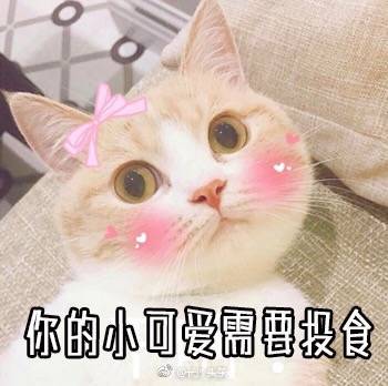 长沙玩咖最新打卡胜地!长沙国金中心IFS嗨玩指