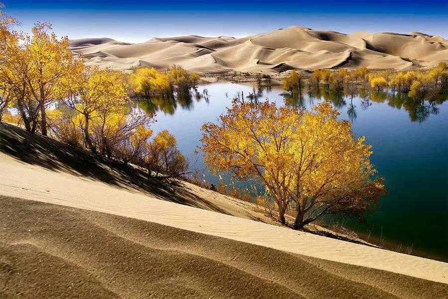 高中毕业生该如何填报志愿?