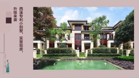 杭州未来科技城专利独栋小别墅买三送二,私家大花园赞成个墅!