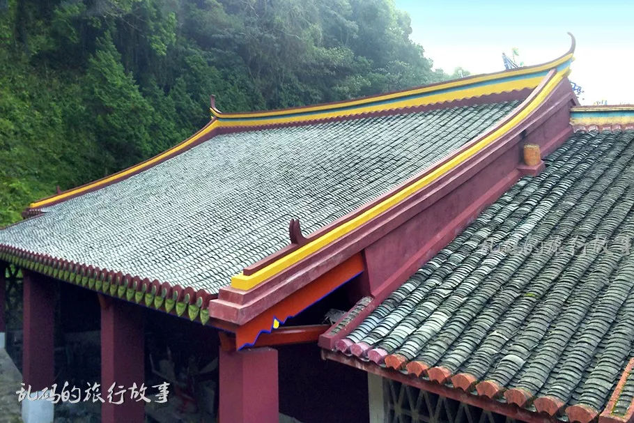 广东古寺千年生死树至今屹立不倒 屋顶无一片