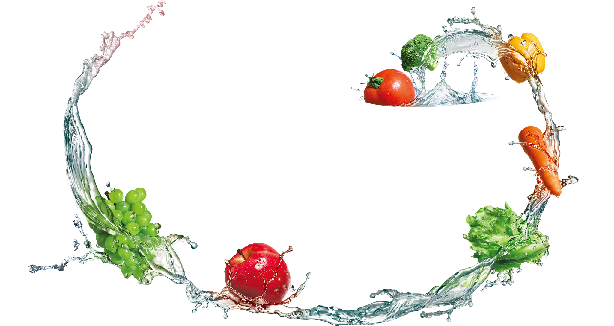 垃圾处理器有必要安装吗?