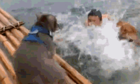 铲屎官假装意外落水,汪星人第一反应让他感动不已