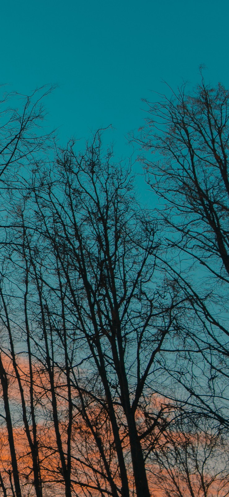 很适合做iphone xs max壁纸的14幅高清图,别错