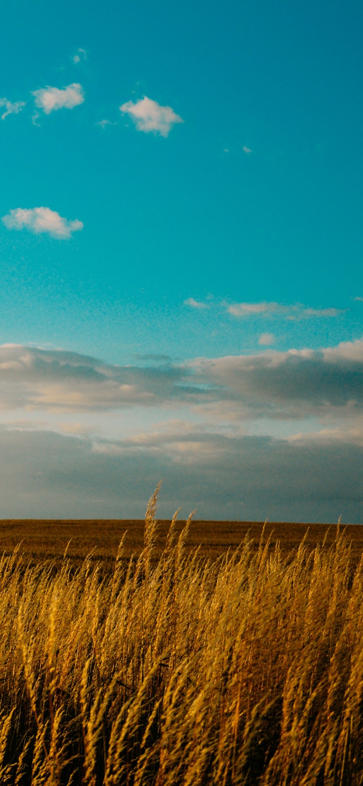 很适合做iphone xs max壁纸的14幅高清图,别错