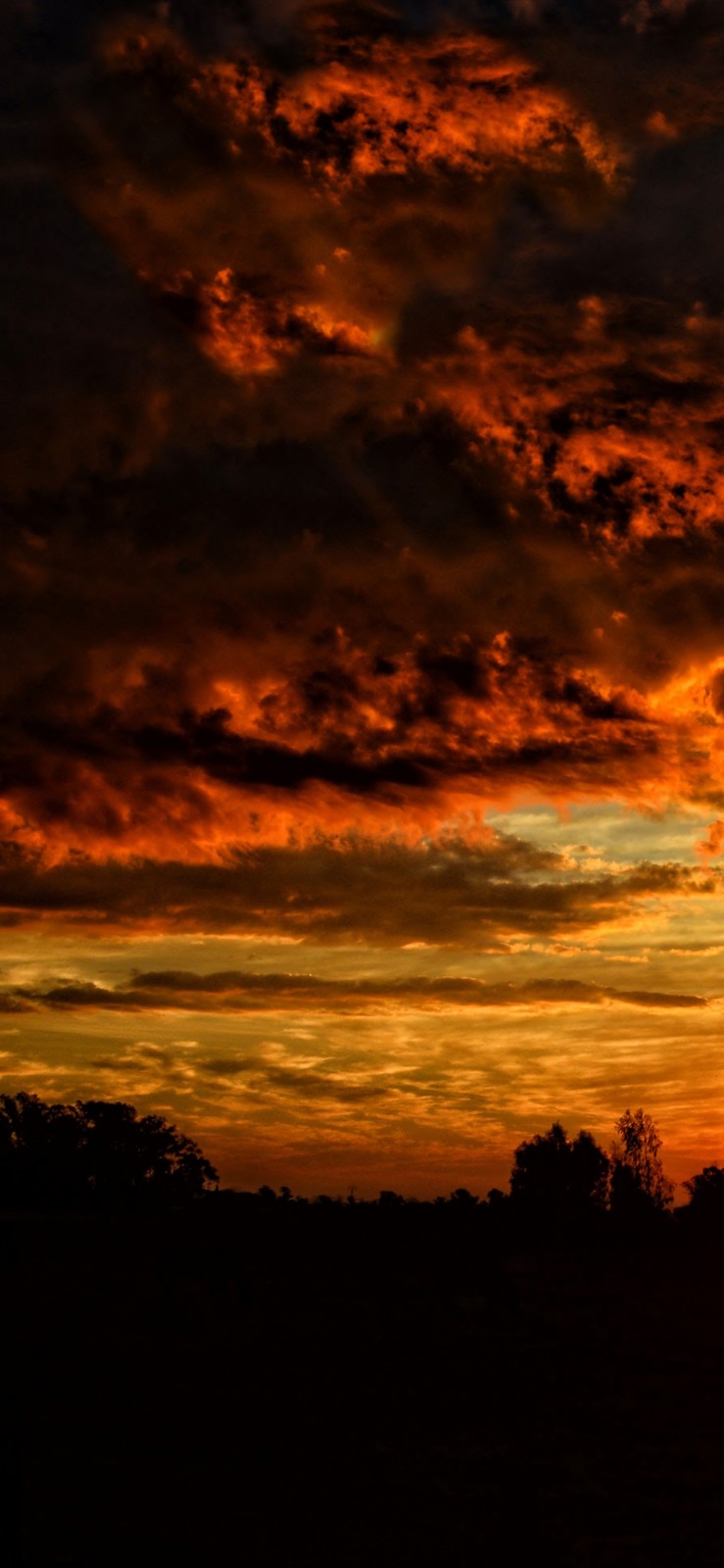 很适合做iphone xs max壁纸的14幅高清图,别错