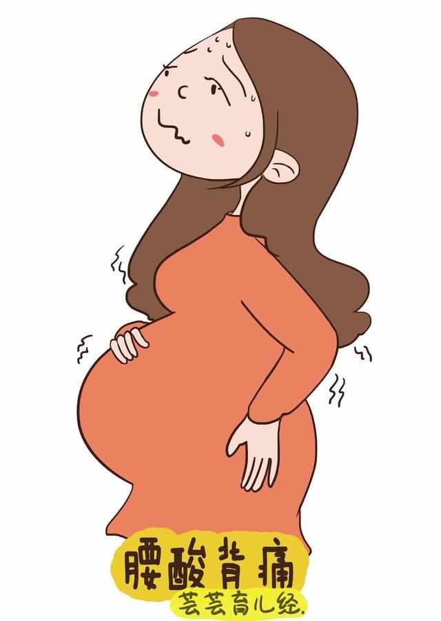 561_1146 竖版 竖屏 动漫 卡通 漫画 设计 矢量 矢量图 素材 头像