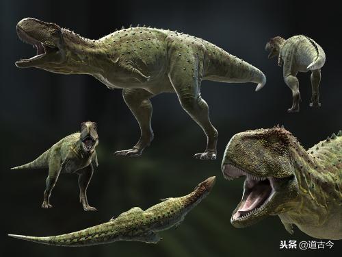 远古生物之谜 鱼龙灭绝与恐龙灭亡真相