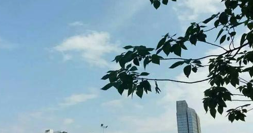 广东梅州、福建龙岩和江西赣州,哪个城市发展