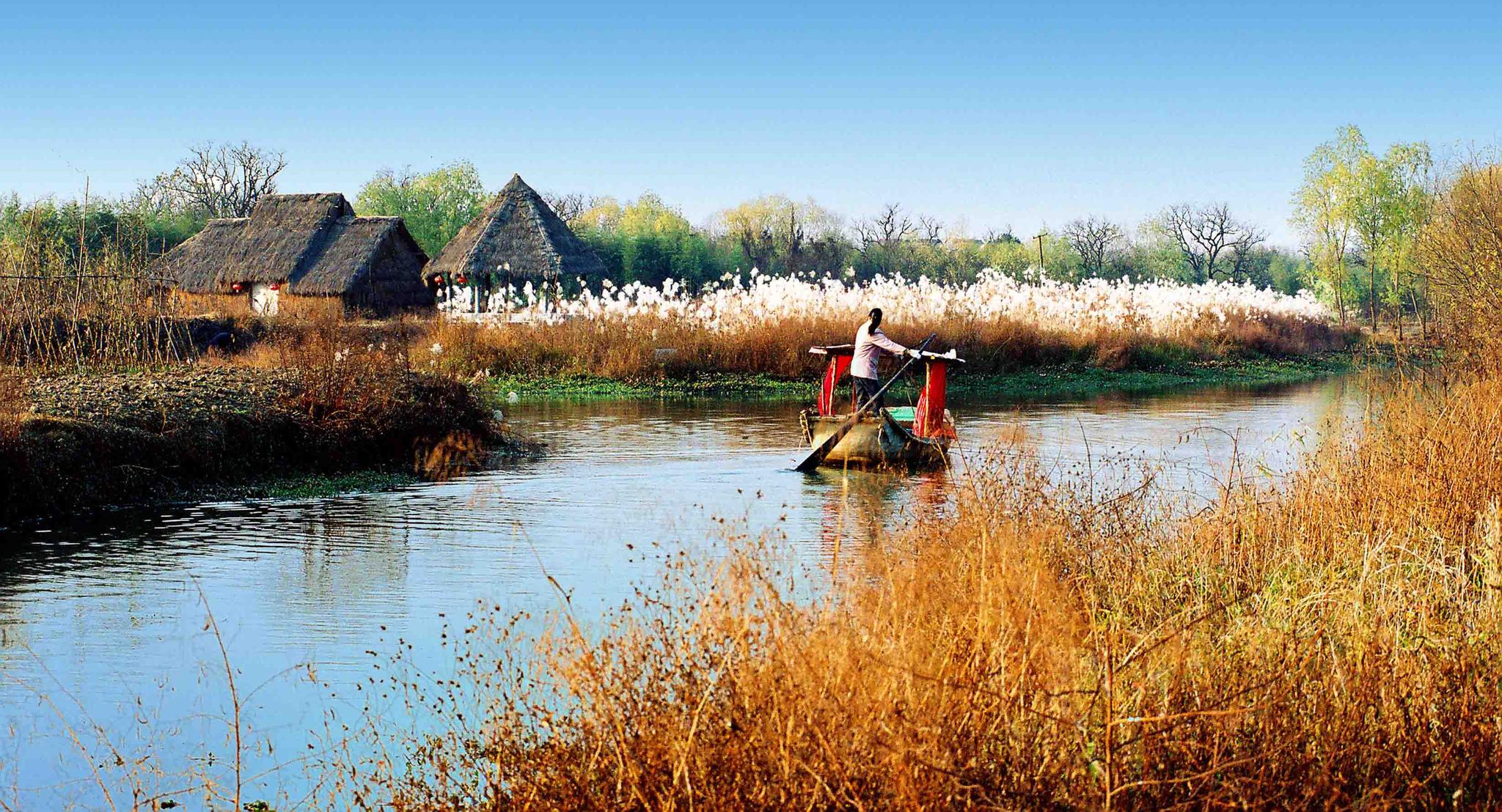 “飞”常美！来看看航拍镜头之下美出新高度的杭州西溪湿地洪园