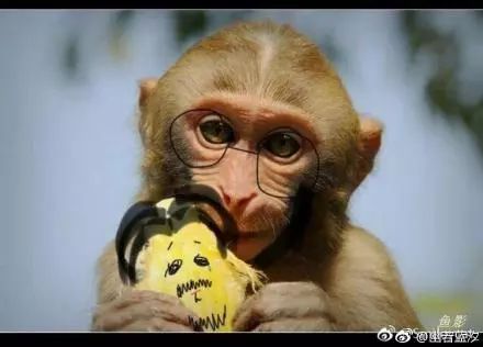 日韩粉丝都被圈得死死的?白宇和朱一龙为什么