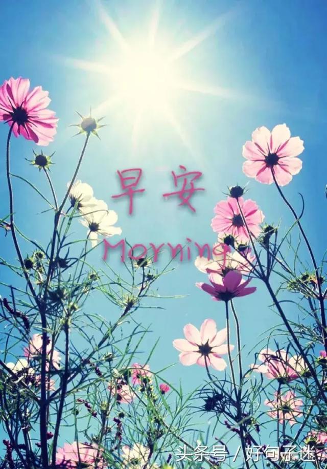 致自己早安心语正能量句子,句句深入人心
