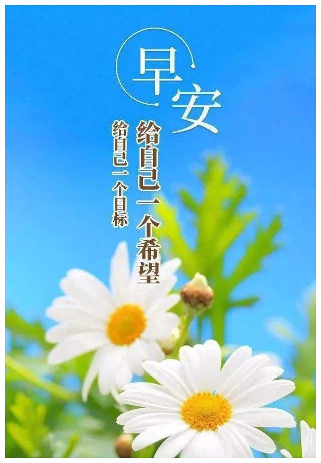 最新版早安励志哲理语录,早安激励人心的早安语