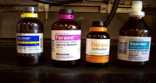 哪里买药便宜正宗 d6de-hhacrce0821013.png