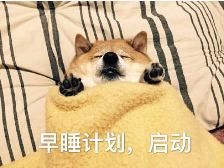 狗狗表情包:你不用担心我，我哭一个月就没事了