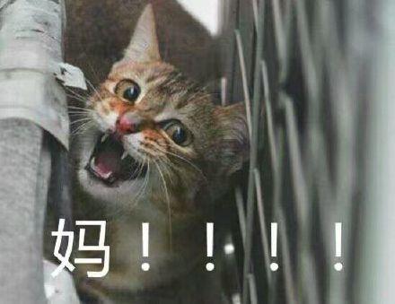 撕心裂肺!各种喊妈表情包