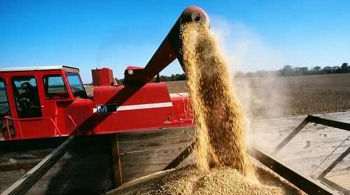 为什么美国宁愿赔钱,也要出口大量粮食给中国