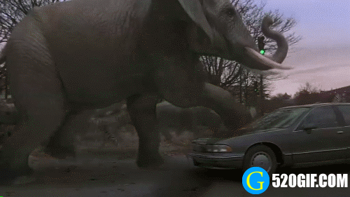 特别声明:以上文章内容仅代表作者本人观点,不代表新浪看点观点或