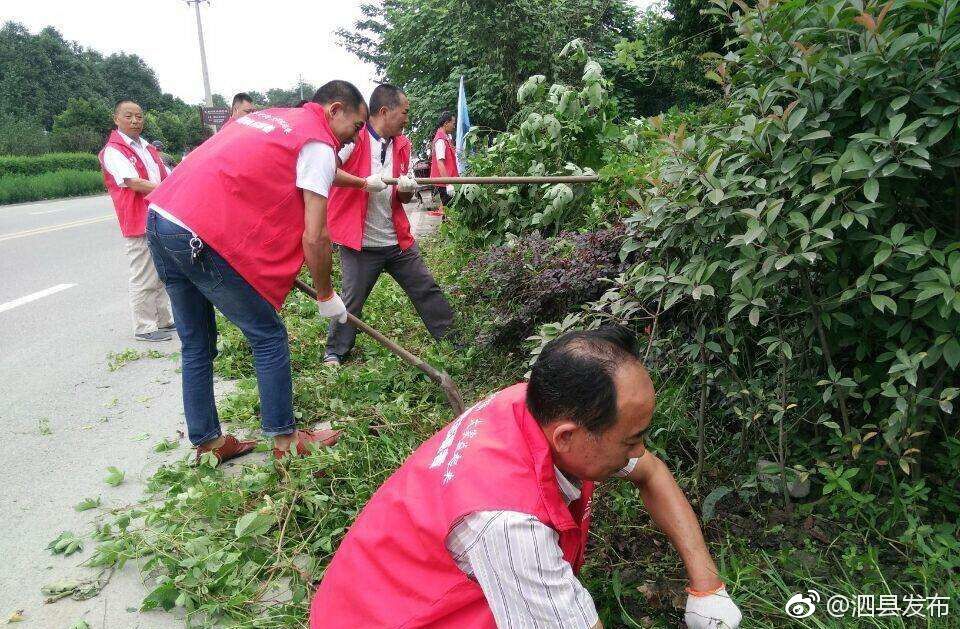 长沟镇多举措开展党员志愿者服务活动