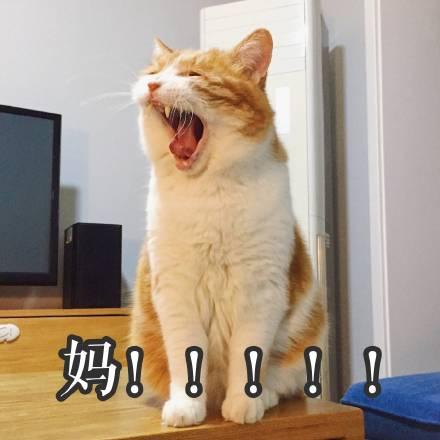 撕心裂肺!各种喊妈表情包