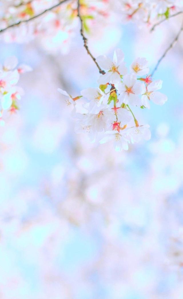 高智商,高情商,高颜值的三大星座,你属于其中哪