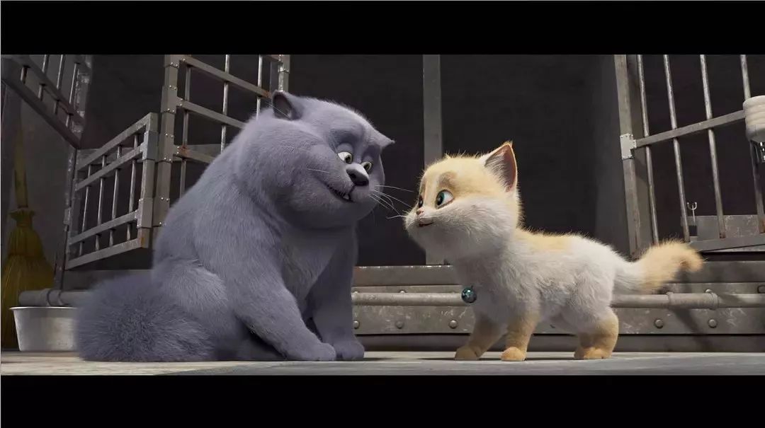 《猫与桃花源》:终于可以在电影院里名正言顺地撸猫啦