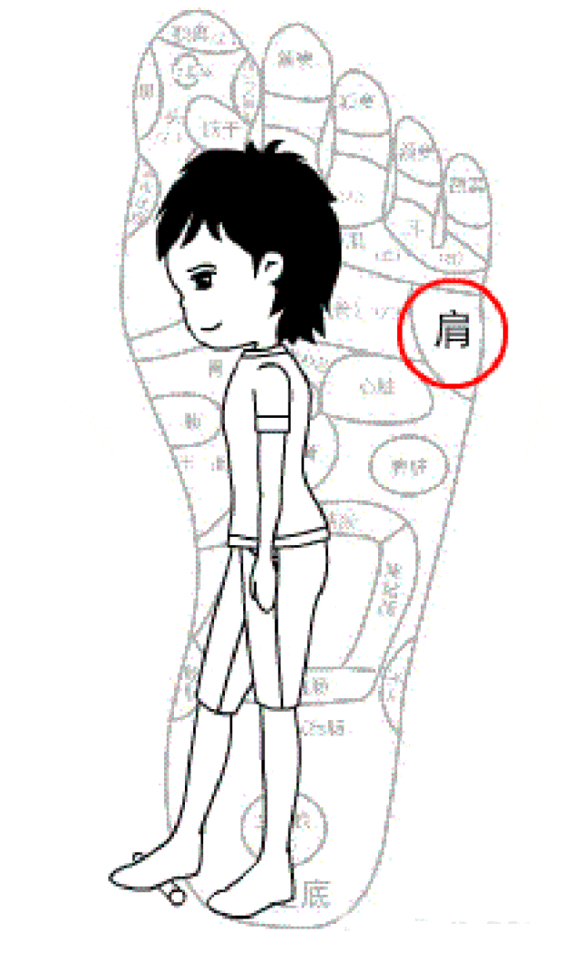听说擀面杖减肥有奇效，是真的还是假的？想瘦的你一定要看看