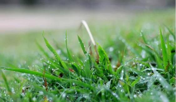 “自驾神器”科帕奇，让你看看它有多野！