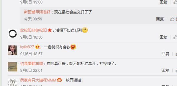 ASMR女主播轩子巨2兔,转型成功被称赞!网友那