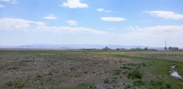 比比 内蒙 新疆 西藏 哪个地方的草原最美