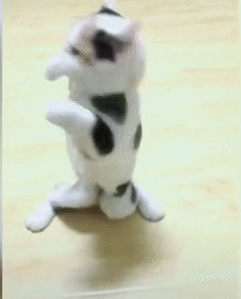 猫咪听音乐跳舞,身子优美的扭动着,舞技都达十级了!