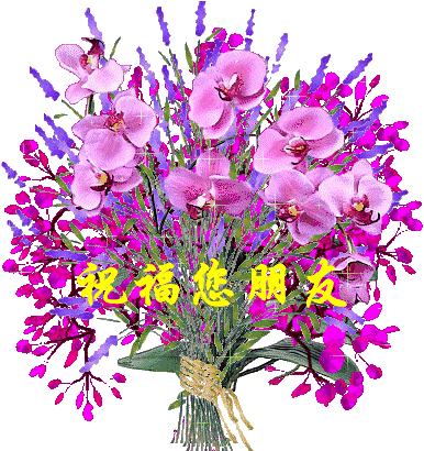 一心一意的祝福送给牵挂的人!