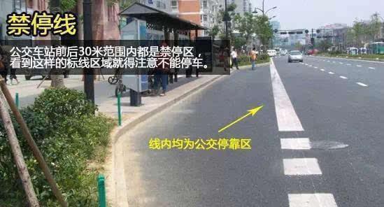 不懂这些道路交通标志线，驾照24分你都不够扣！