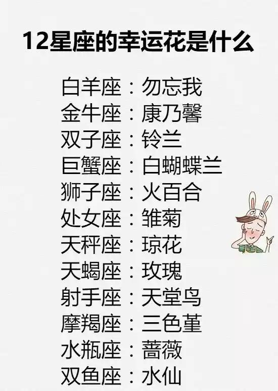 12星座的幸运花是什么,不喜欢多穿衣服,会把谁设为手机屏保