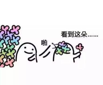 送花花表情包