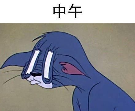 每天我的表情!斗图状态喂 我的小可爱在么表情包搞笑图片图片