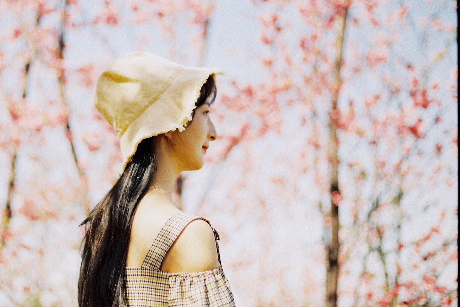 摄友: 相机:佳能kiss胶片机+50\/1.8胶卷:c200