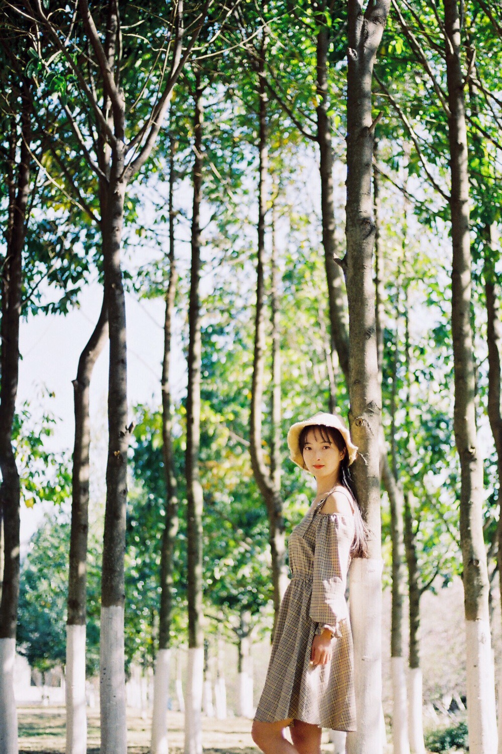 摄友: 相机:佳能kiss胶片机+50\/1.8胶卷:c200