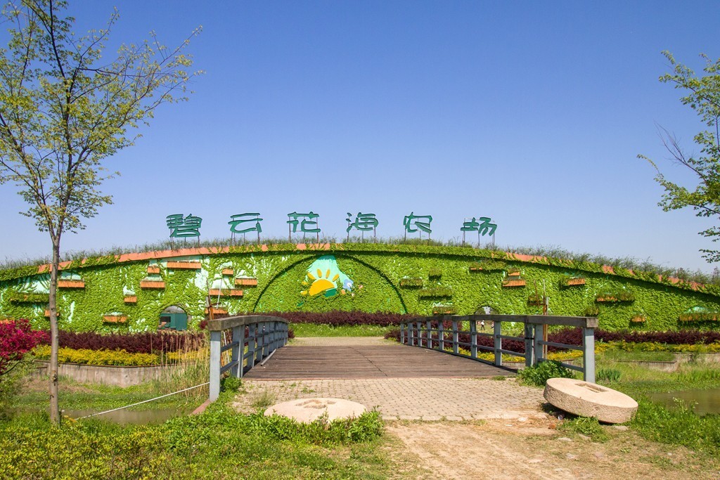 浙江嘉善碧云花园