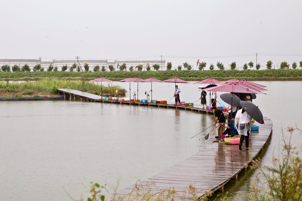 在北纬三十九度有一个绝美的地方,海湾湿地曹妃甸